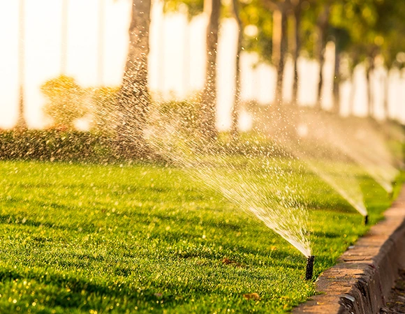 Why Choose Us for Irrigation Services