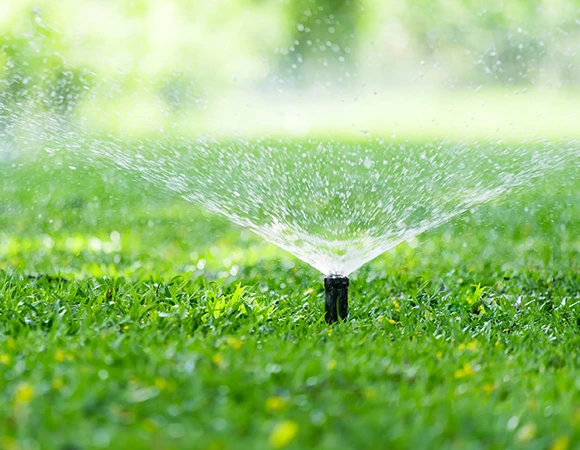 Affordable Irrigation Services in Hilton Head Island, SC