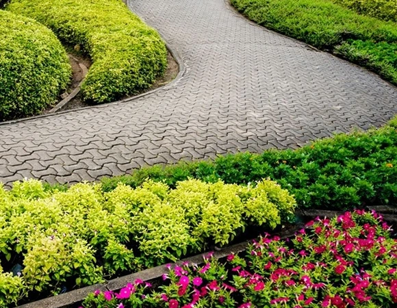 Why Choose Us for Landscape Installation