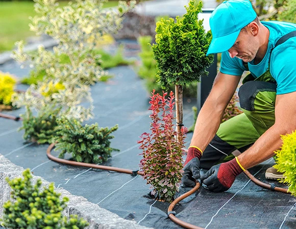Trusted Landscape Contractor St. Simons Island GA